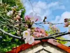 滑川神社 - 仕事と子どもの守り神の自然