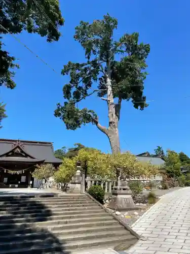 矢奈比賣神社（見付天神）(静岡県)