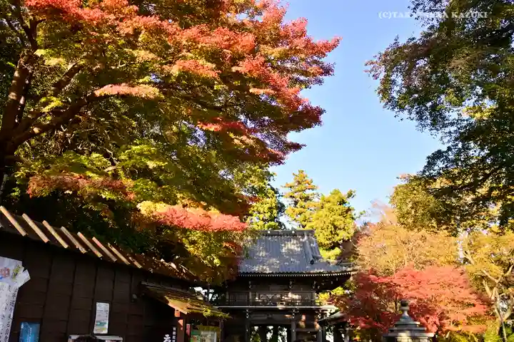 高尾山薬王院のその他建物