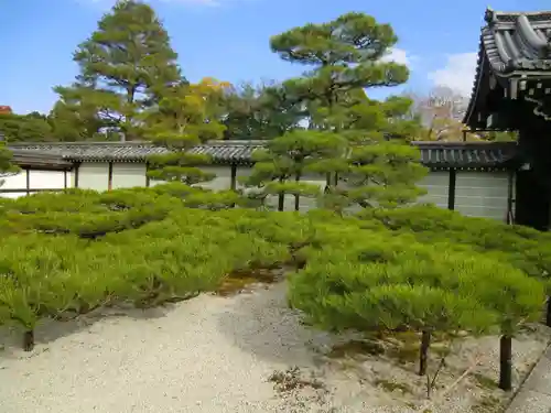仁和寺の庭園