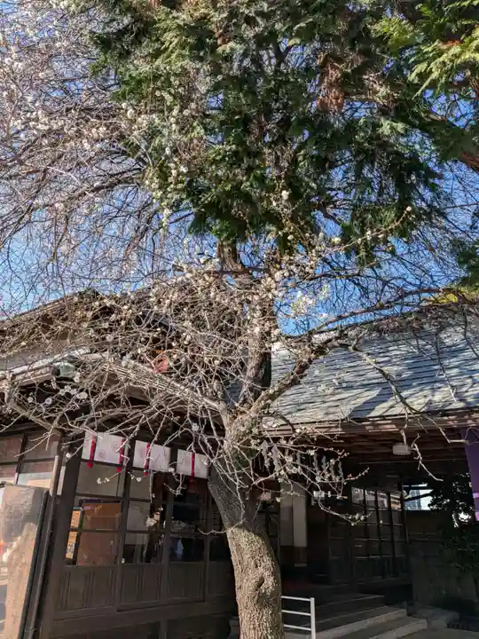 猿田彦神社(東京都)