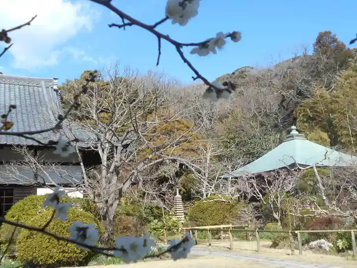 浄光明寺のその他建物