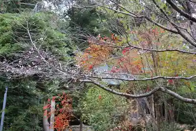 開成山大神宮の庭園