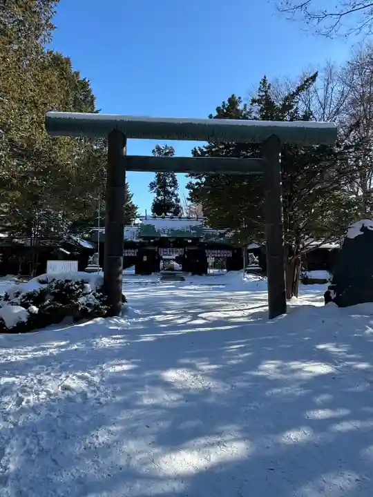 琴似神社(北海道)