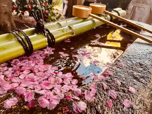 蔵前神社(東京都)