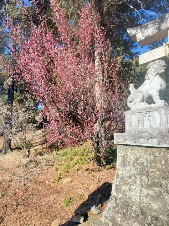 八椚天満宮(栃木県)