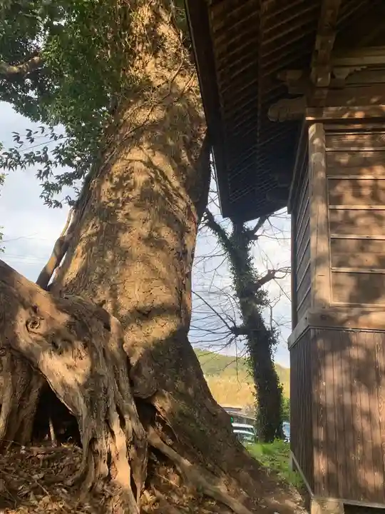 若宮神社の自然