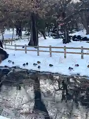 多賀神社の周辺