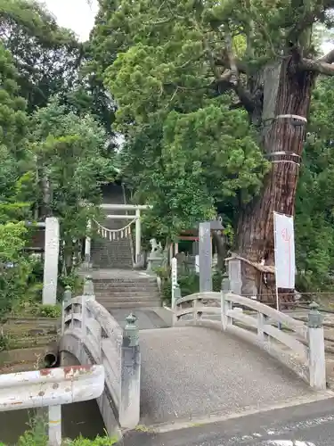 大國魂神社の鳥居