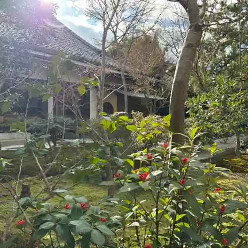 興聖寺(京都府)