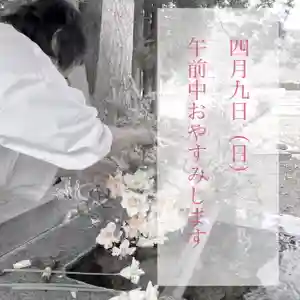 高司神社〜むすびの神の鎮まる社〜(福島県)(2023年04月08日(土) 09時18分43秒投稿)