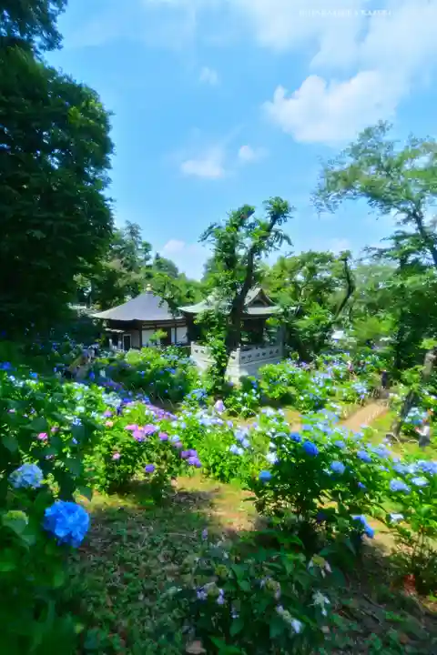 妙楽寺(神奈川県)