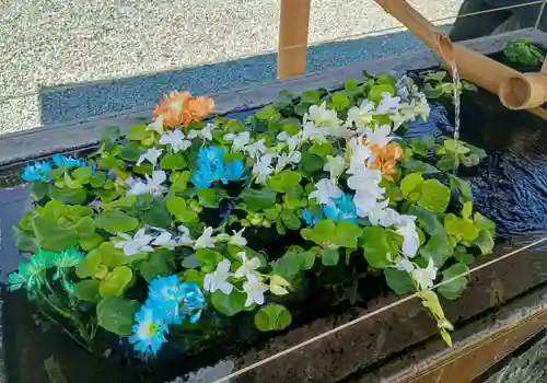 成田山川越別院(埼玉県)