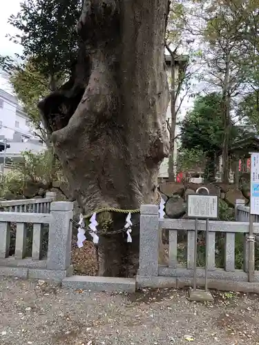青渭神社の自然