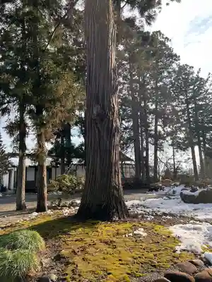 鎮守府八幡宮(岩手県)