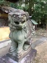 熊野社の狛犬