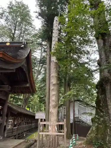 諏訪大社(長野県)