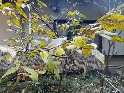 遠照山 光明寺（尼崎大仏）(兵庫県)