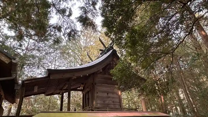 鴨神社の本殿・本堂