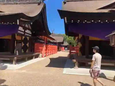 住吉大社の本殿・本堂