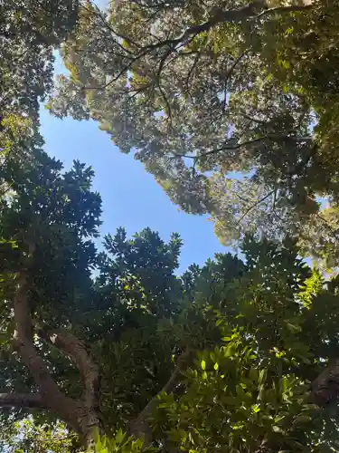 大宮・大原神社(千葉県)