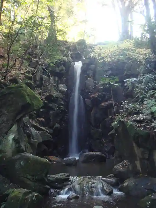 成田山新勝寺の自然