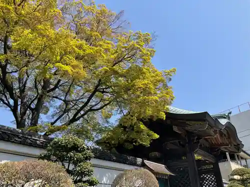 文殊寺のその他建物