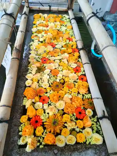 津島神社の手水舎