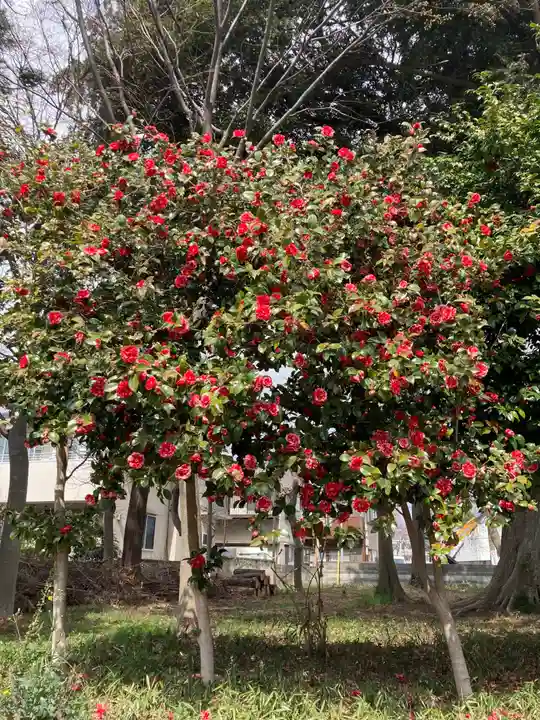 尉殿神社の自然