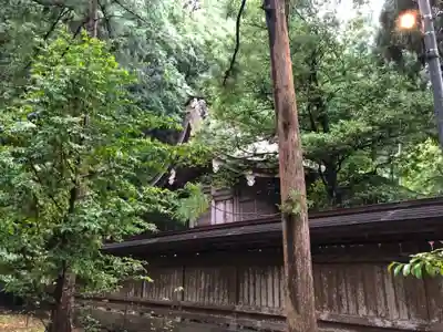 若狭姫神社（若狭彦神社下社）の本殿・本堂