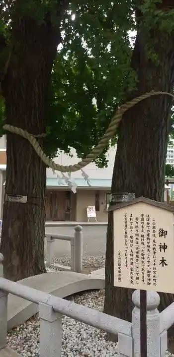 千住神社の自然