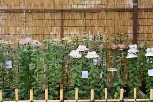靖國神社(東京都)