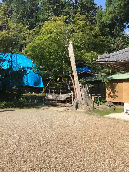大原野神社のその他建物