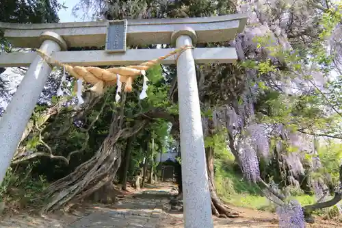 春日神社の鳥居