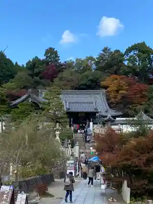 柳谷観音　楊谷寺(京都府)