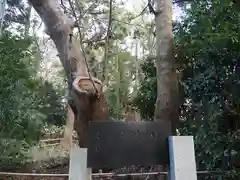 天津神社の自然