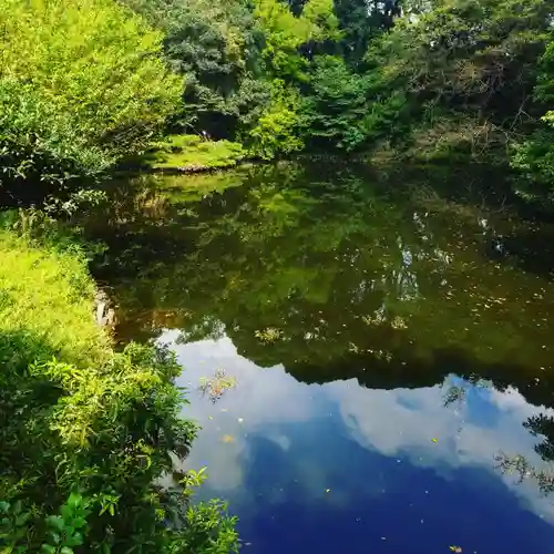 明治神宮の庭園