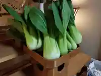 伏木香取神社(茨城県)