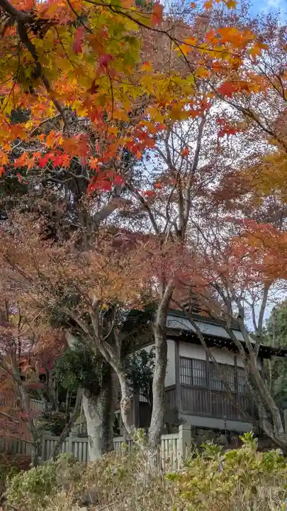 柳谷観音 楊谷寺(京都府)
