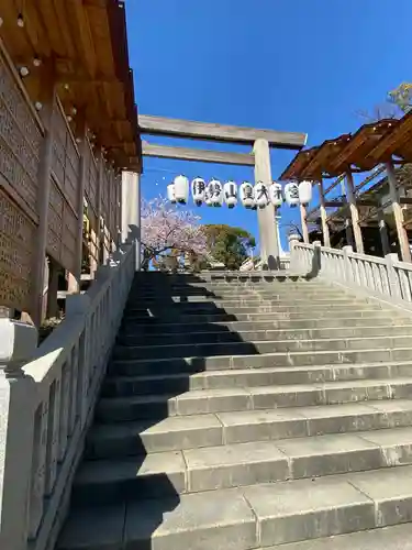 伊勢山皇大神宮の鳥居