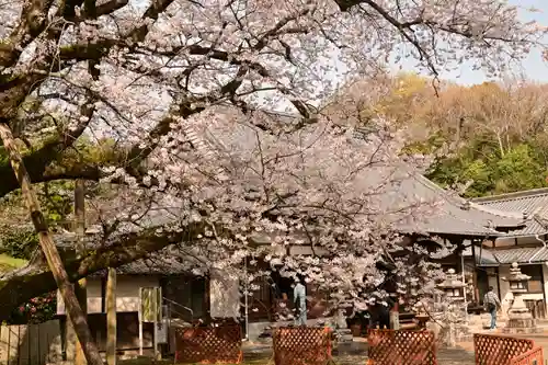 掌禅寺(愛媛県)