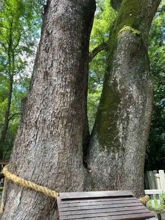 伊弉諾神宮(兵庫県)