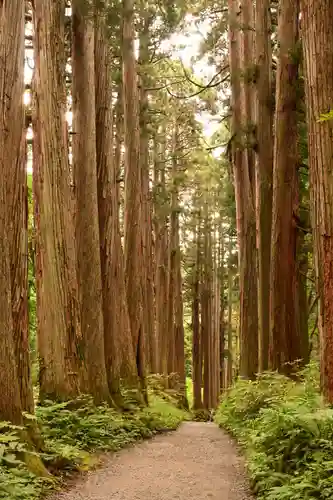 戸隠神社九頭龍社(長野県)