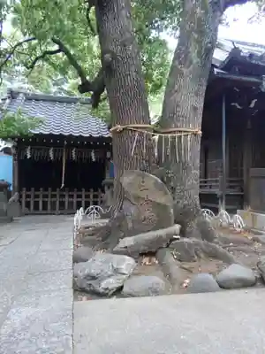 千住氷川神社(東京都)