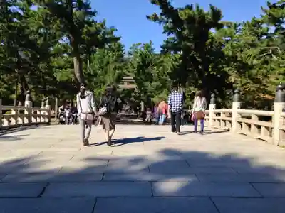 出雲大社(島根県)
