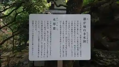 瑠璃光寺の歴史