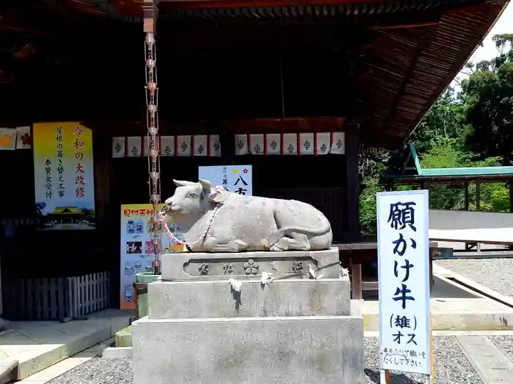 矢奈比賣神社(見付天神)の狛犬