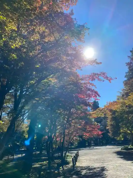 平林寺(埼玉県)
