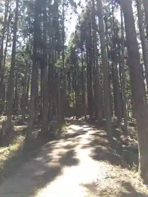 賀茂神社(京都府)