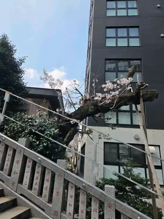 白金氷川神社の{uncategorized: "未分類", other: "その他", undefined: "問題あり", building: "その他建物", grave: "お墓", sacred_gate: "鳥居", guardian: "狛犬", statue: "像", buddha: "仏像", history: "歴史", nature: "自然", garden: "庭園", animal: "動物", pagoda: "塔", temizu: "手水舎", mountain_gate: "山門・神門", sanctuary: "本殿・本堂", subordinate: "末社・摂社", art: "芸術", scenery: "景色", jizo: "地蔵", ema: "絵馬", goshuin: "御朱印", omikuji: "おみくじ", items: "授与品その他", amulet: "お守り", goshuincho: "御朱印帳", eats: "食事", festival: "お祭り", votive_dance: "神楽", shichigosan: "七五三参", wedding: "結婚式", experience: "体験その他", initially: "初詣", around: "周辺", anti_infection: "感染症対策"}